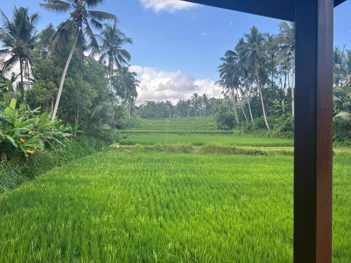Ubud Sawah Scenery Villa And Homestay Tegallalang  Exterior photo