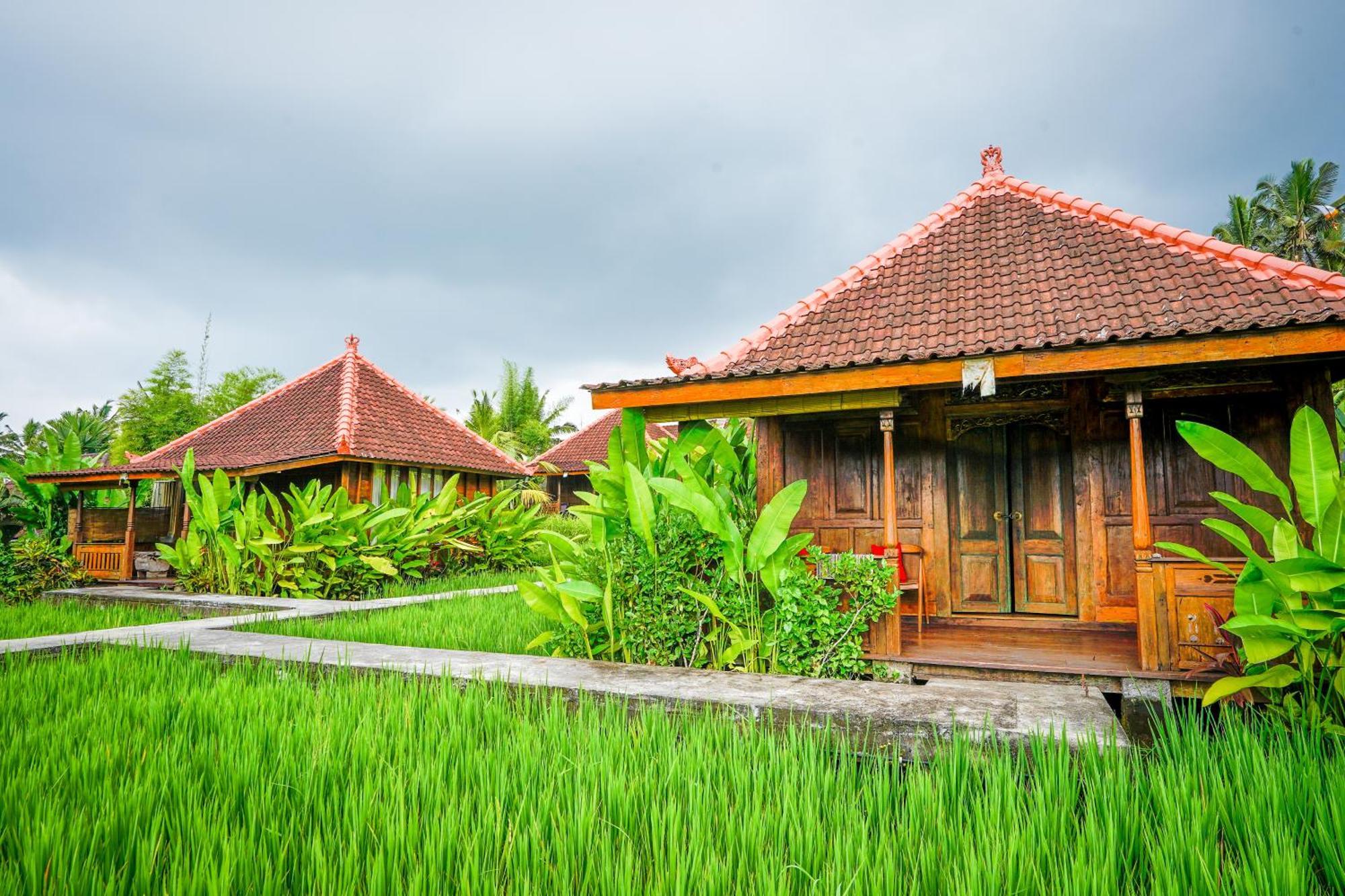 Ubud Sawah Scenery Villa And Homestay Tegallalang  Exterior photo