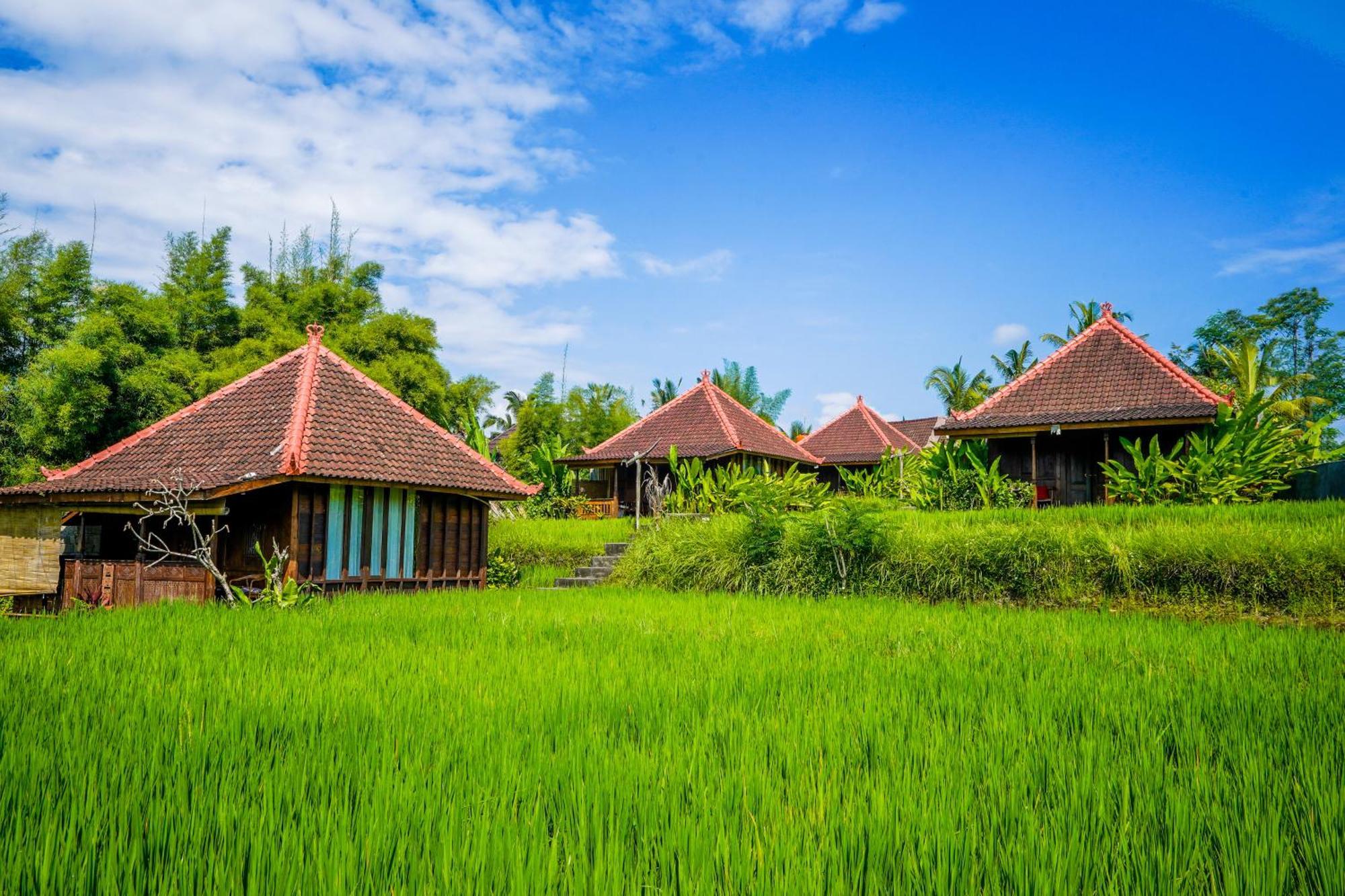 Ubud Sawah Scenery Villa And Homestay Tegallalang  Exterior photo