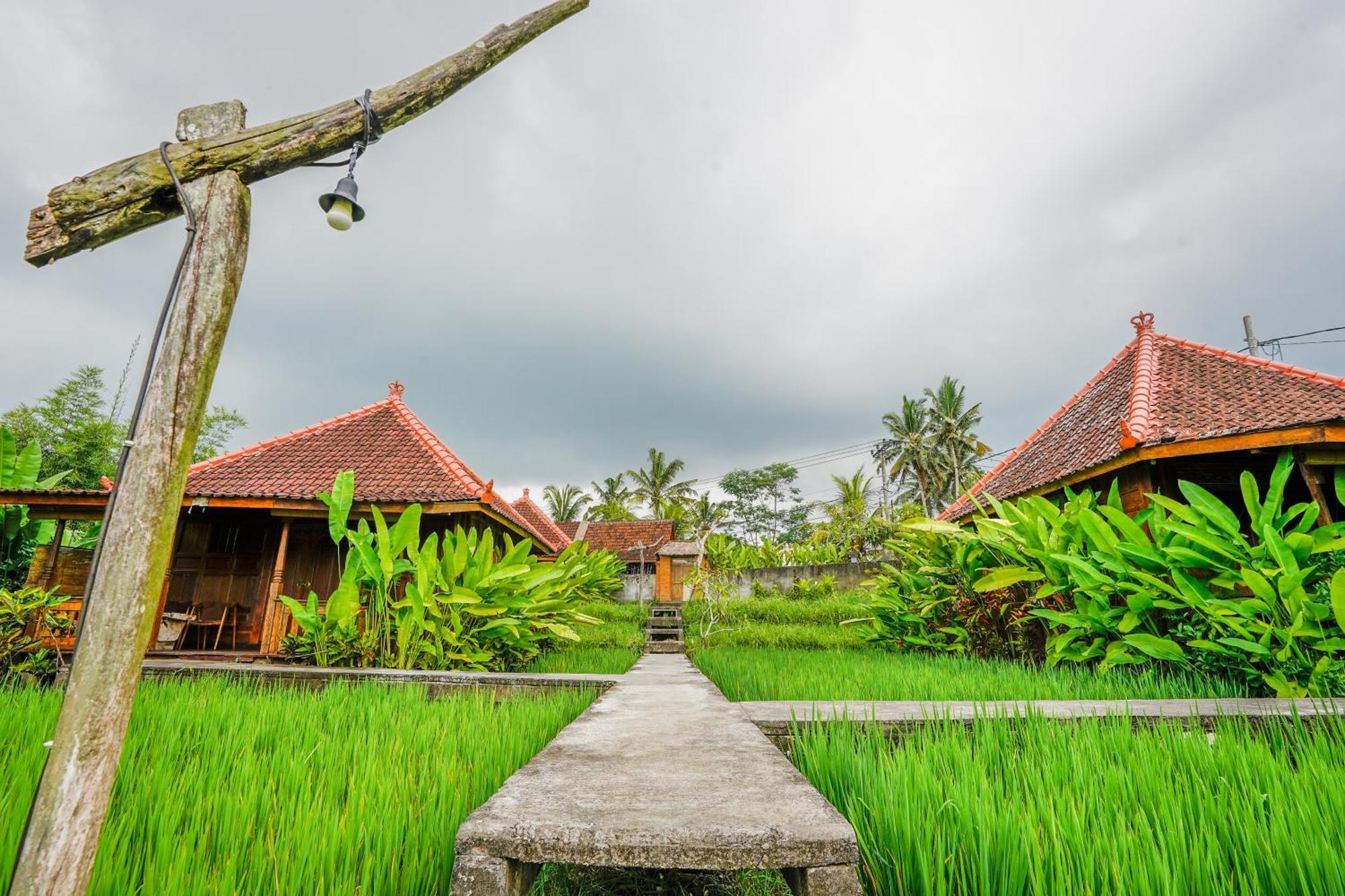 Ubud Sawah Scenery Villa And Homestay Tegallalang  Exterior photo