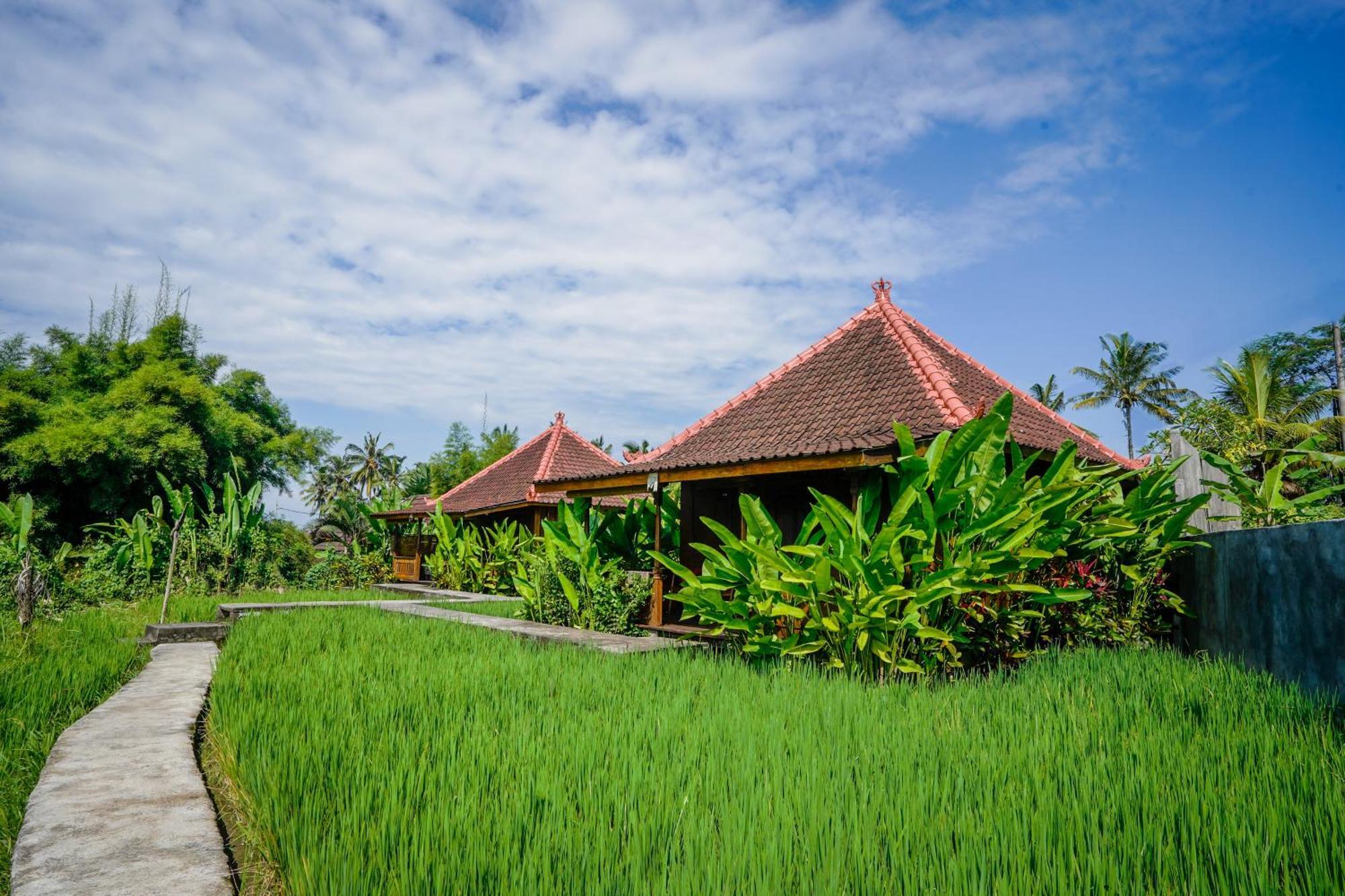 Ubud Sawah Scenery Villa And Homestay Tegallalang  Exterior photo