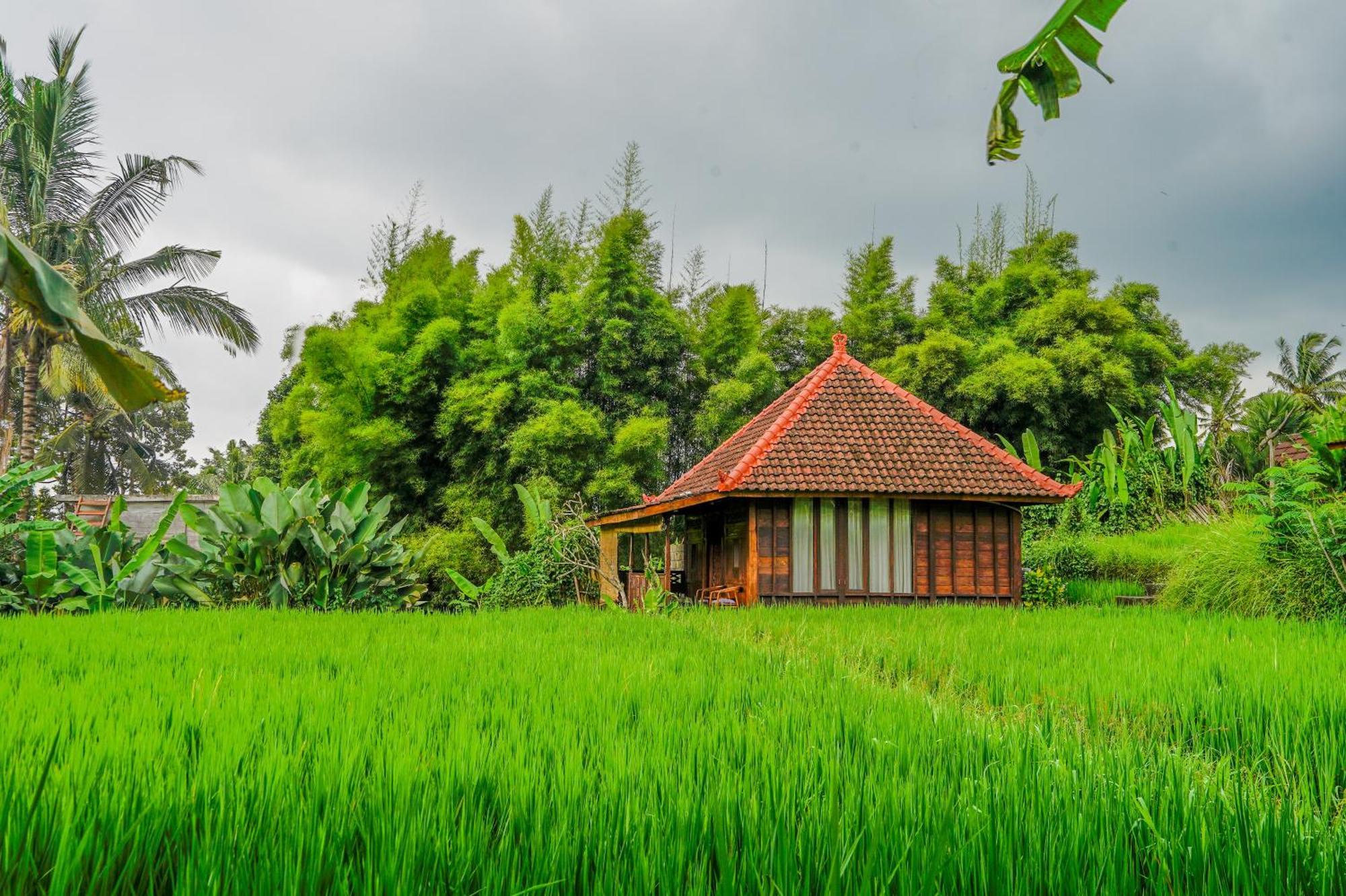 Ubud Sawah Scenery Villa And Homestay Tegallalang  Exterior photo