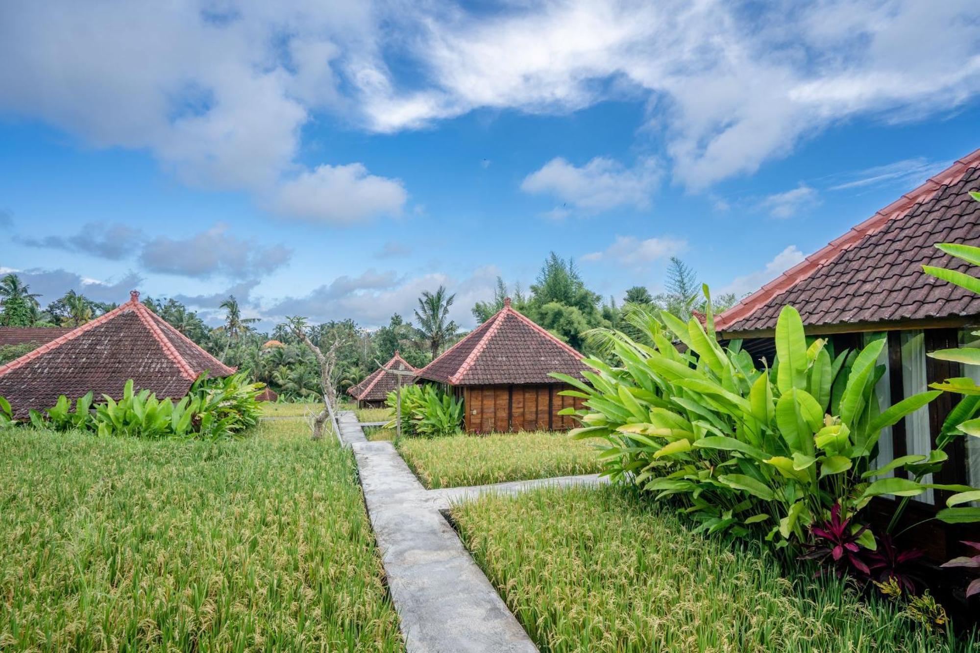 Ubud Sawah Scenery Villa And Homestay Tegallalang  Exterior photo