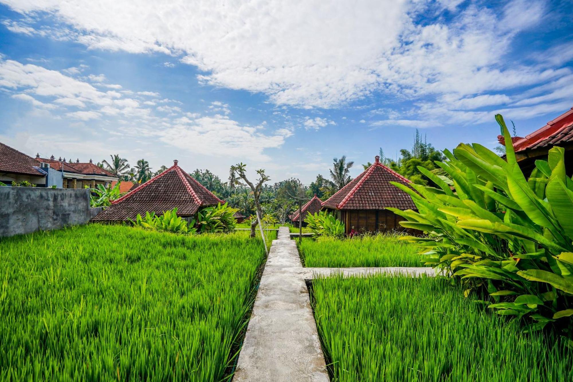 Ubud Sawah Scenery Villa And Homestay Tegallalang  Exterior photo